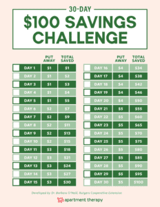 Money Saving Challenge - The